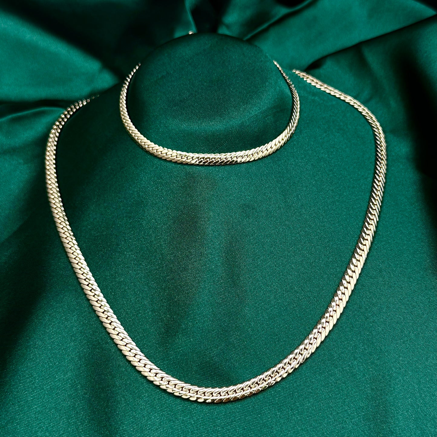 Conjunto reptiliano