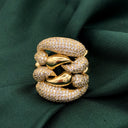 Anillo Hub