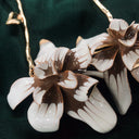 Pendientes Flor Blanca