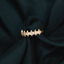Anillo Raquis