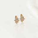 Pendientes Orión